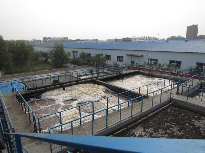 河南龙润能源科技有限公司600t/d污水处理工程