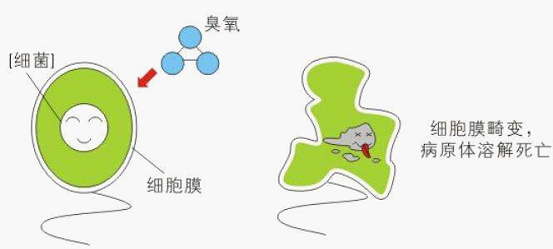 微纳米气泡臭氧医疗污水消毒技术